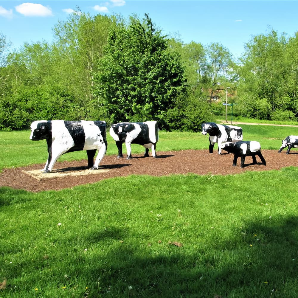Milton Keynes' famous cow sculptures on grass